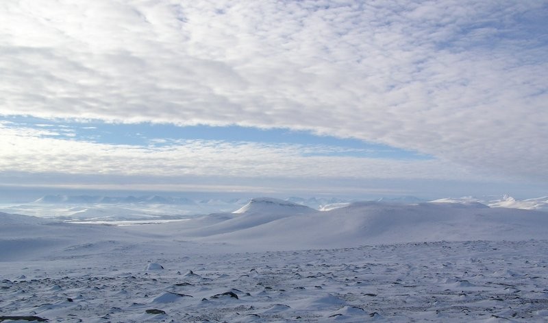 Click for the original image